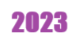 2023 icon