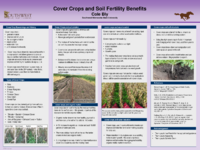 AGRO-Cover%20Crops%20and%20Soil%20Fertility-Bly-Thumbnail Image.png