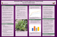 Burt_Gacke_Allelopathic%20effects%20of%20golden%20rod%20on%20tomato-Thumbnail Image.png
