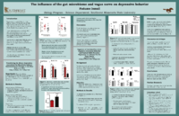 Fadumo%20Ismail_Influence%20of%20the%20gut-microbiome-Thumbnail Image.png