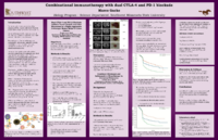 Gacke_Combinational%20immunotherapy-Thumbnail Image.png