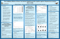 Griffin_Inhibitory%20Effects%20of%20Green%20Tea-Thumbnail Image.png