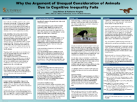 Heinen_Knights_Animal%20Poster-Thumbnail Image.png