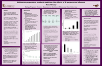 Meunsy_echinacea%20purpurea-Thumbnail Image.png