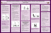 Wiese_Anti-C1q%20autoantibodies-Thumbnail Image.png