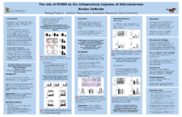 BIOL_Kaelyn%20DeRoche-Thumbnail Image.png